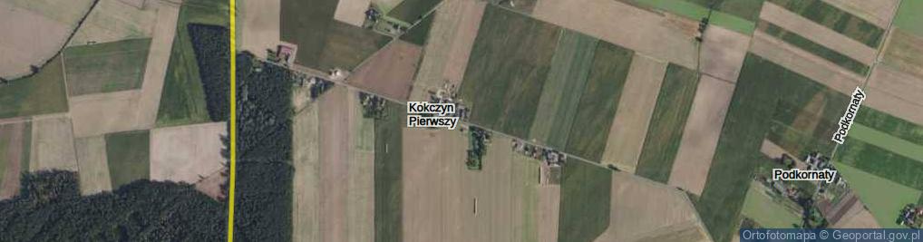 Zdjęcie satelitarne Kokczyn Pierwszy ul.